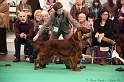 Crufts2011 690